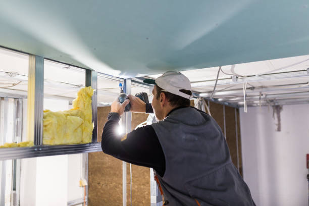 Best Insulation Installation Services in Winchester, VA